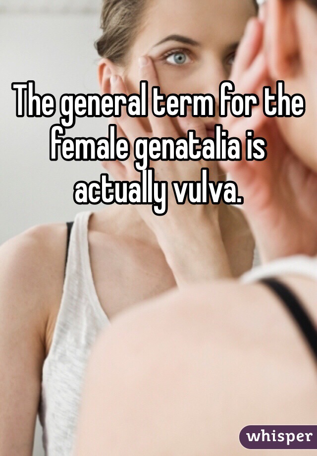 The general term for the female genatalia is actually vulva. 