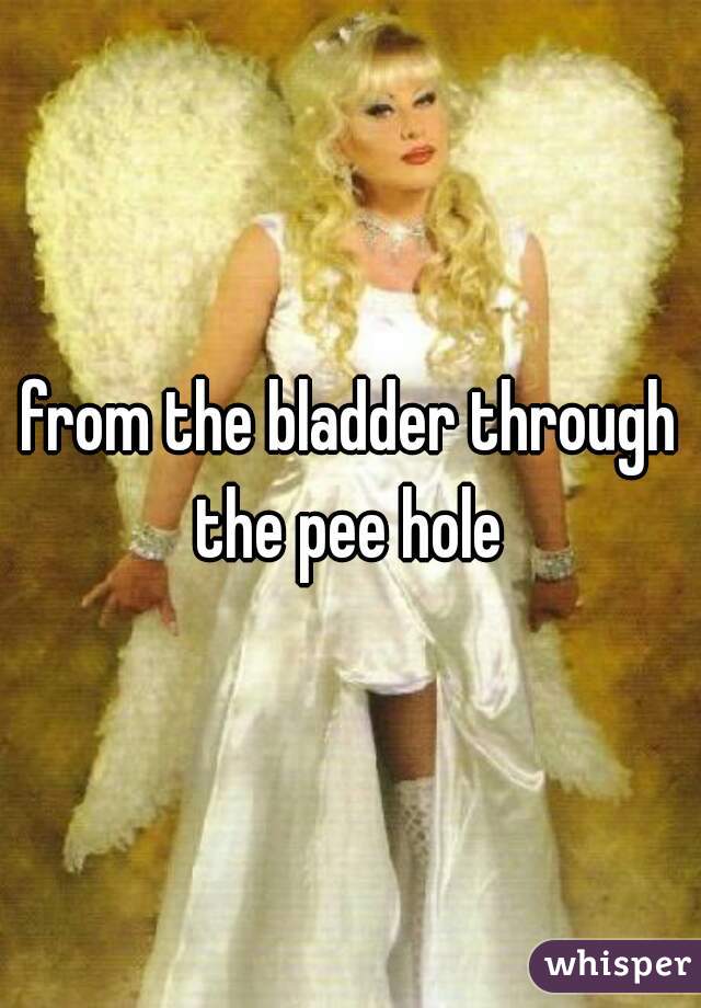 from the bladder through the pee hole 