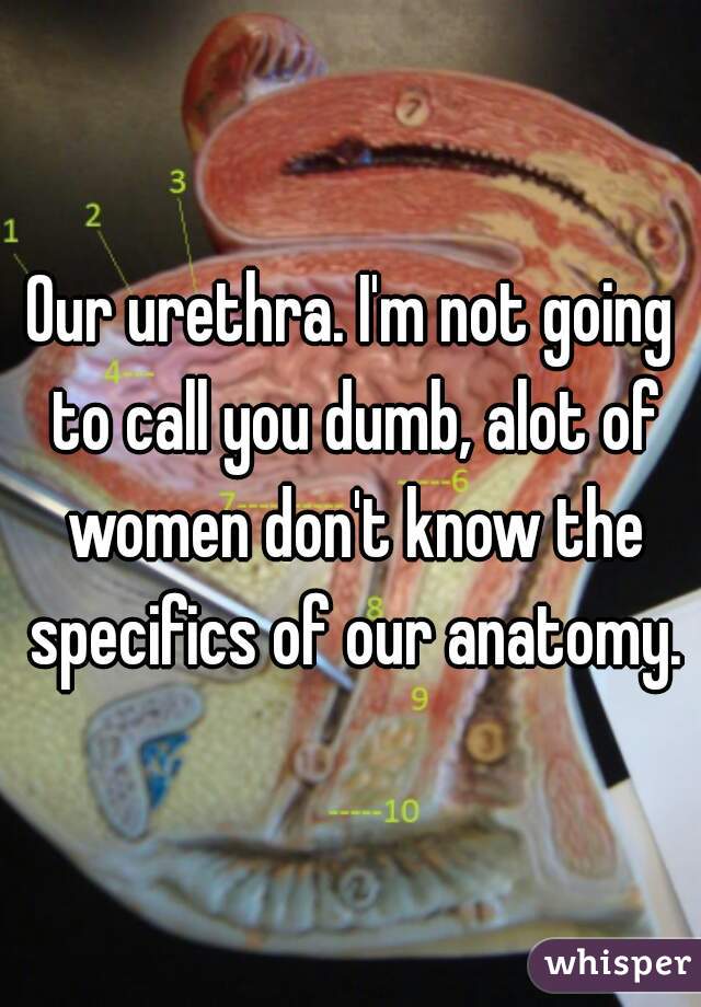 Our urethra. I'm not going to call you dumb, alot of women don't know the specifics of our anatomy.