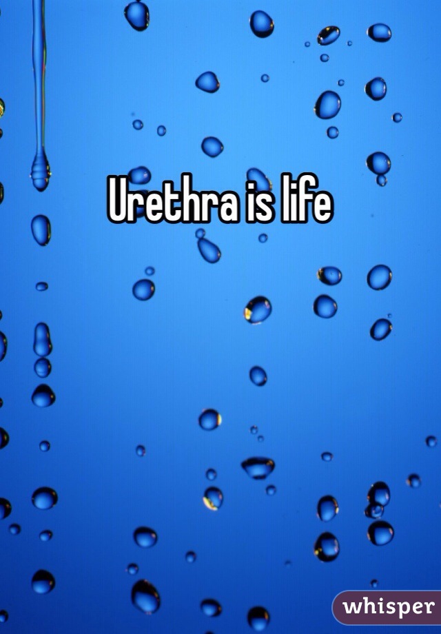 Urethra is life