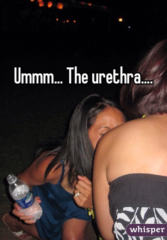 Ummm... The urethra.... 