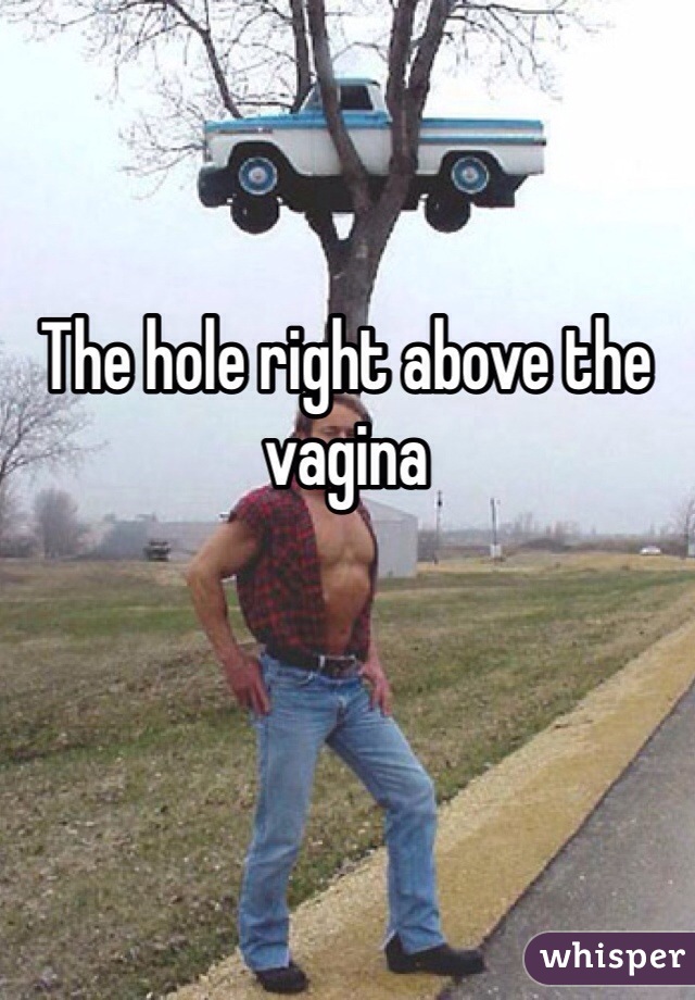 The hole right above the vagina