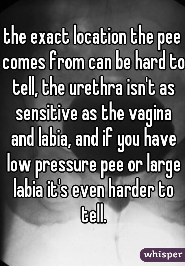 the exact location the pee comes from can be hard to tell, the urethra isn't as sensitive as the vagina and labia, and if you have low pressure pee or large labia it's even harder to tell.