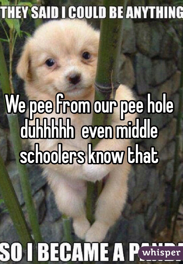 We pee from our pee hole duhhhhh  even middle schoolers know that