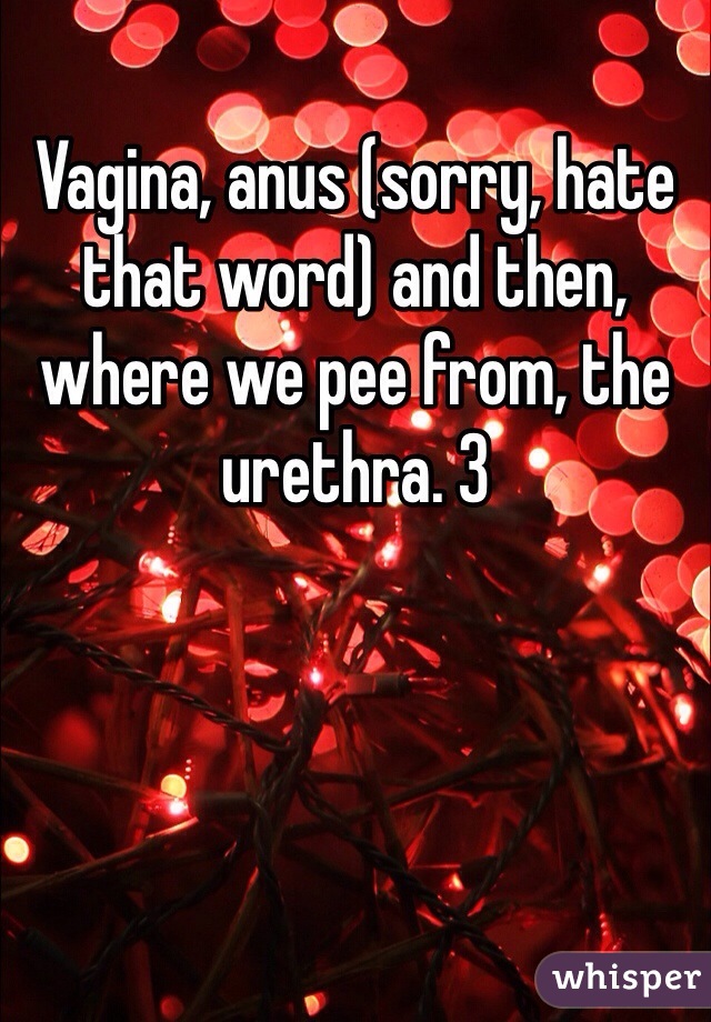 Vagina, anus (sorry, hate that word) and then, where we pee from, the urethra. 3