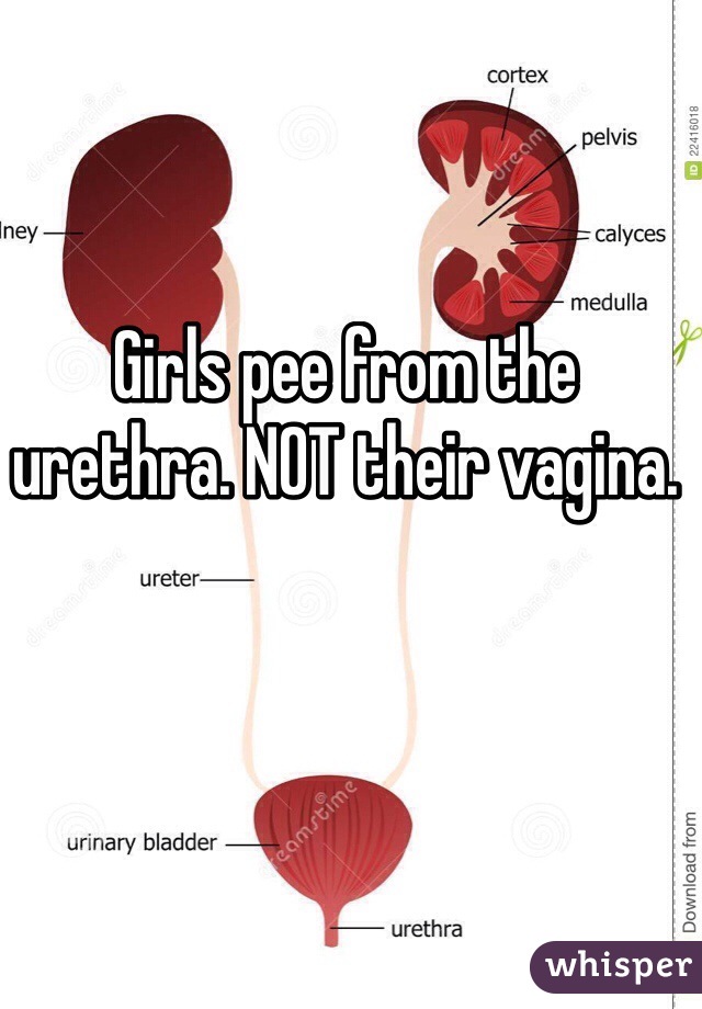 Girls pee from the urethra. NOT their vagina.