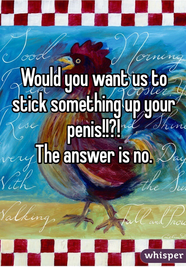 Would you want us to stick something up your penis!!?! 
The answer is no. 