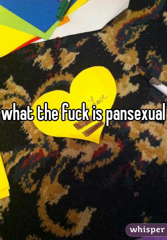what the fuck is pansexual