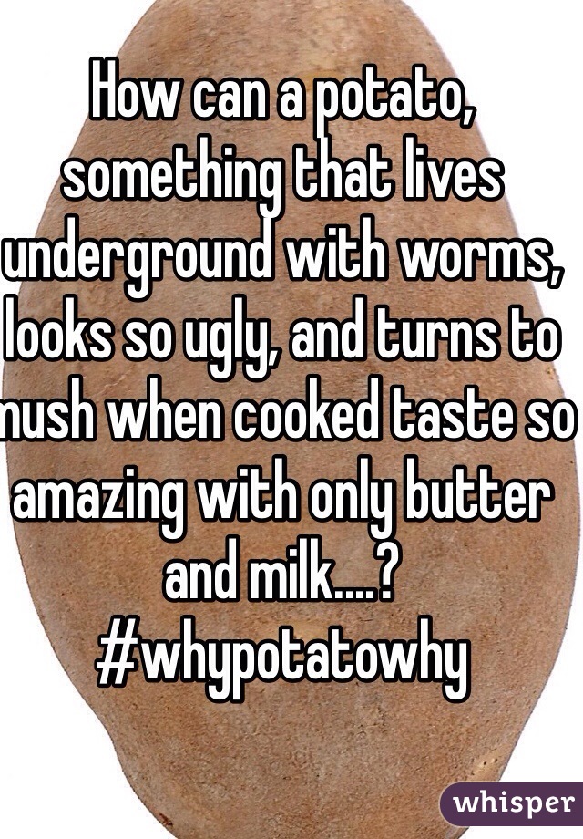 How can a potato, something that lives underground with worms,  looks so ugly, and turns to mush when cooked taste so amazing with only butter and milk....? #whypotatowhy