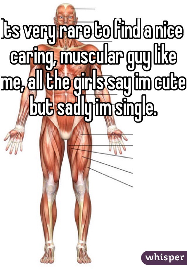 Its very rare to find a nice caring, muscular guy like me, all the girls say im cute but sadly im single. 