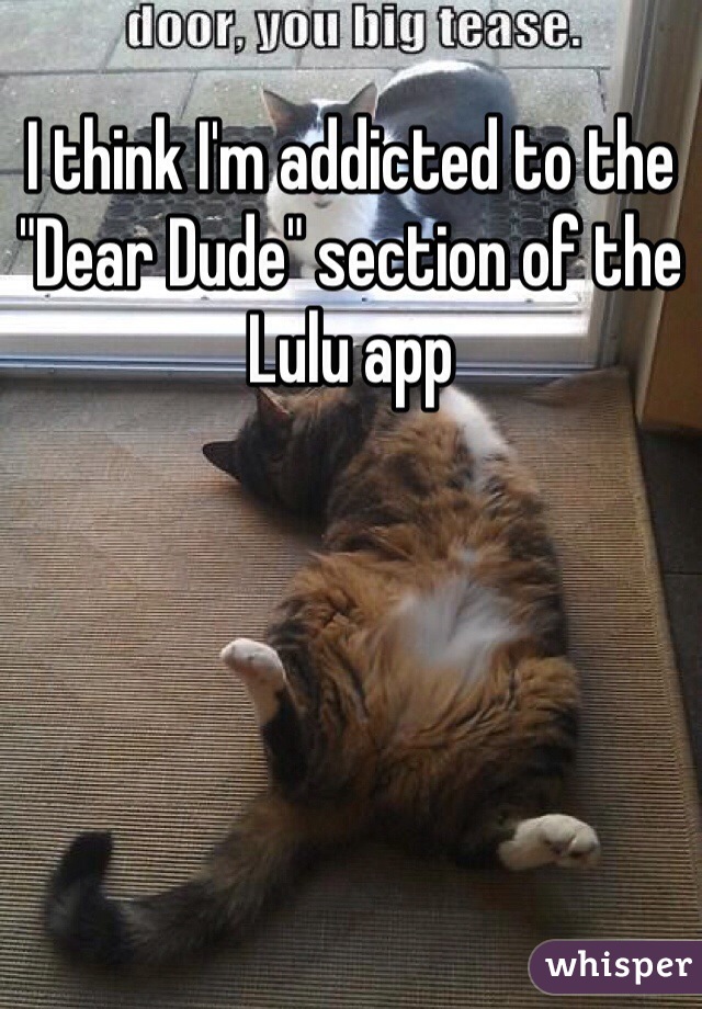 I think I'm addicted to the "Dear Dude" section of the Lulu app