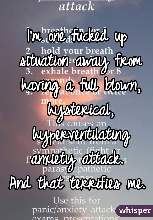 I'm one fucked up situation away from having a full blown, hysterical, hyperventilating anxiety attack. 

And that terrifies me.
