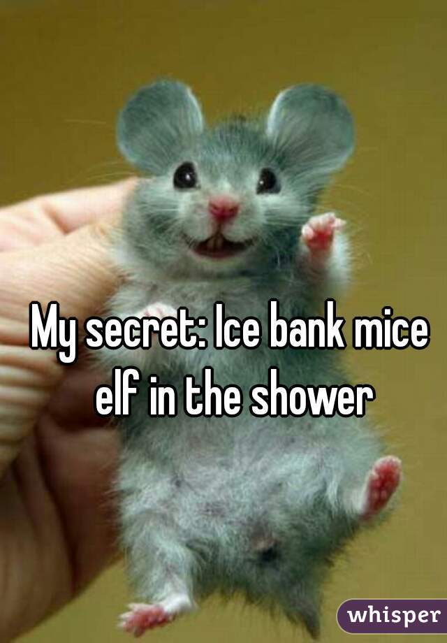 My secret: Ice bank mice elf in the shower