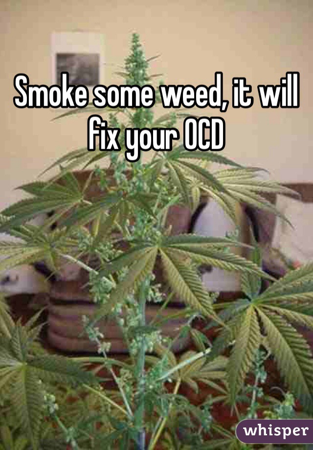 Smoke some weed, it will fix your OCD