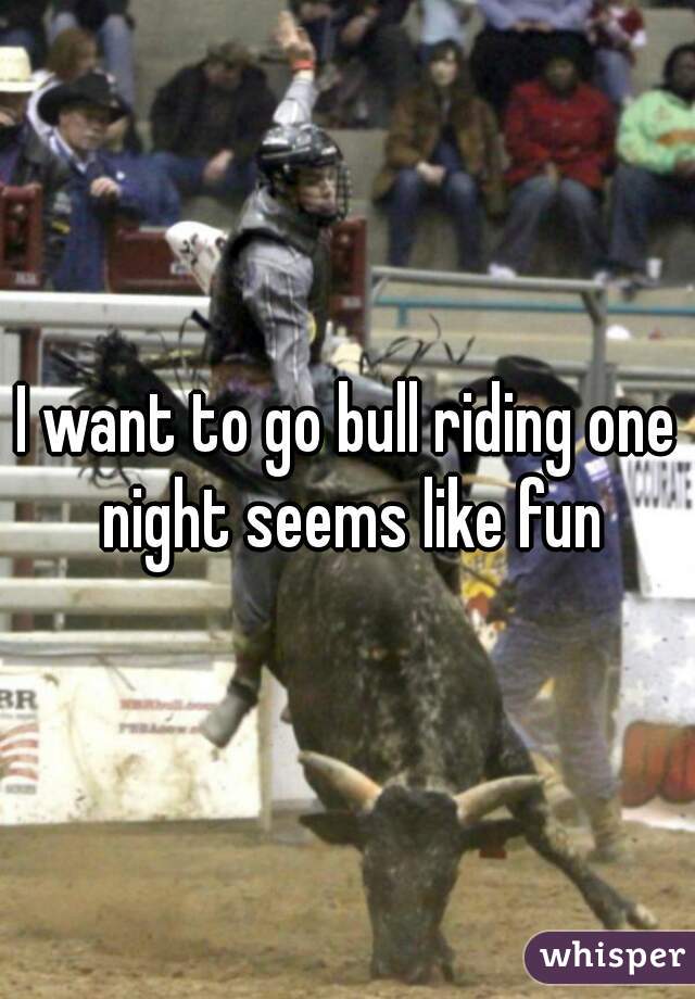 I want to go bull riding one night seems like fun