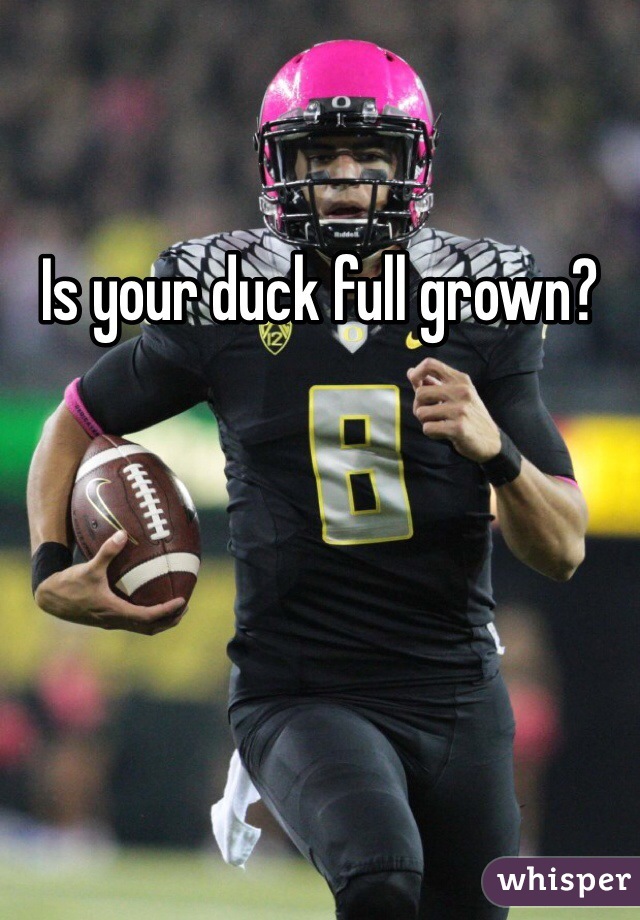 Is your duck full grown?