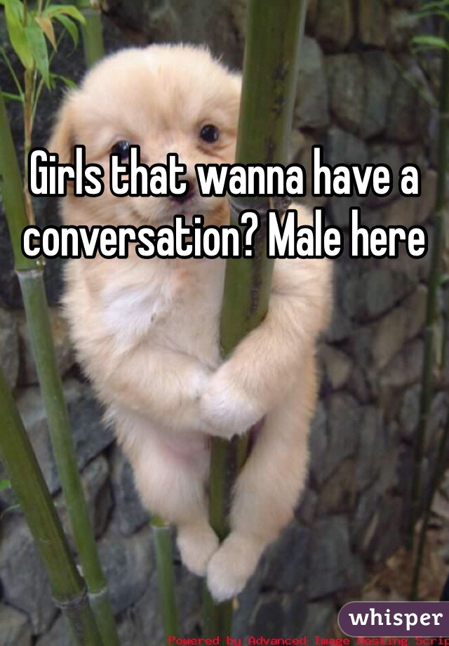 Girls that wanna have a conversation? Male here 