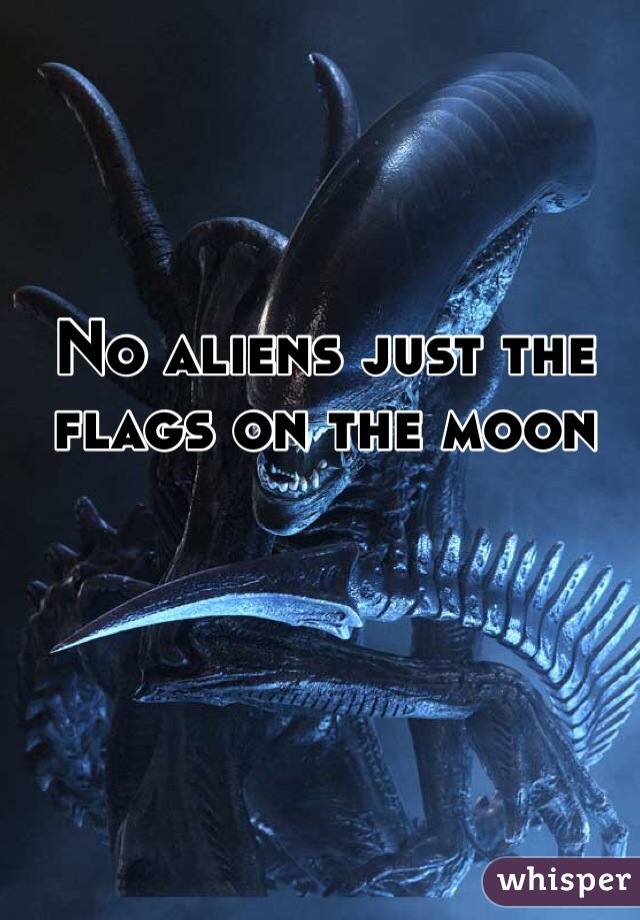 No aliens just the flags on the moon