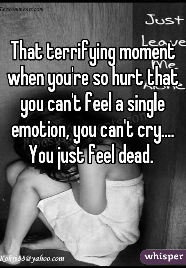 That terrifying moment when you're so hurt that you can't feel a single emotion, you can't cry.... You just feel dead. 
