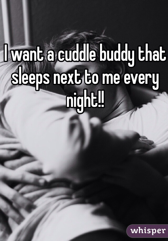 I want a cuddle buddy that sleeps next to me every night!!