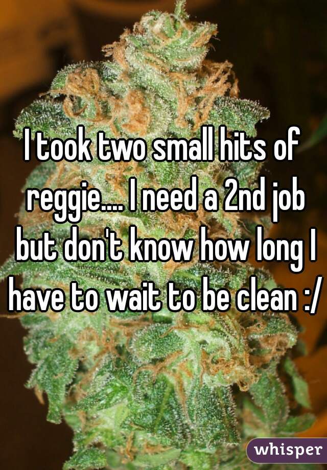 I took two small hits of reggie.... I need a 2nd job but don't know how long I have to wait to be clean :/ 