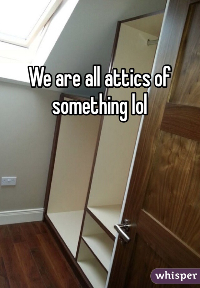 We are all attics of something lol