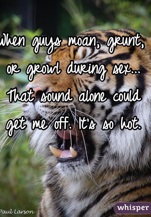 When guys moan, grunt, or growl during sex... That sound alone could get me off. It's so hot.
