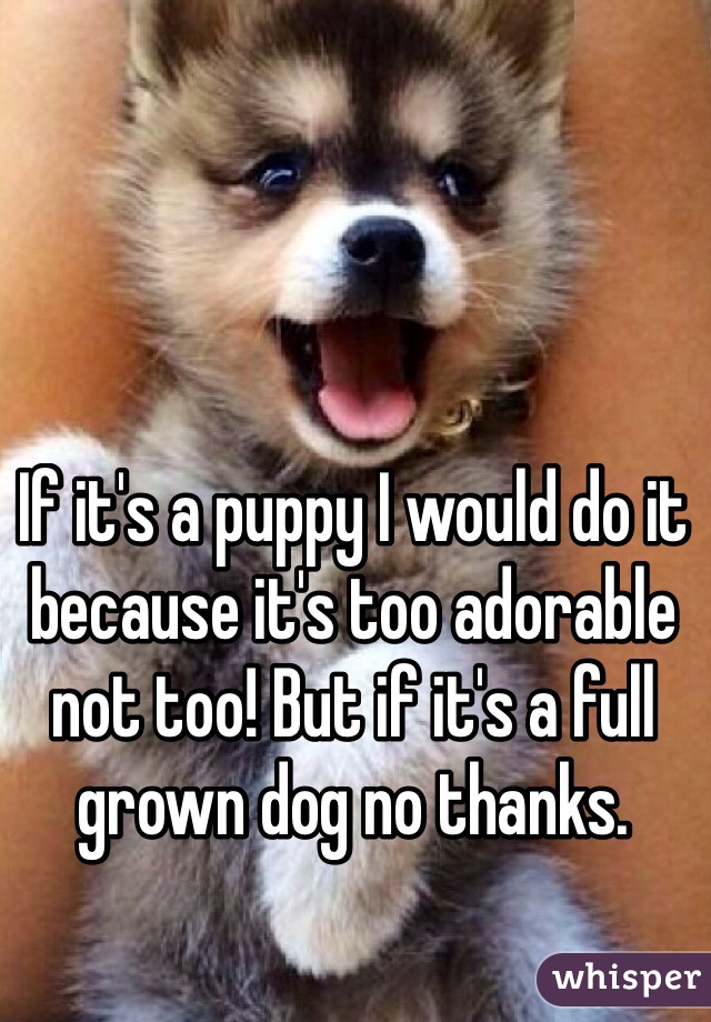 If it's a puppy I would do it because it's too adorable not too! But if it's a full grown dog no thanks. 