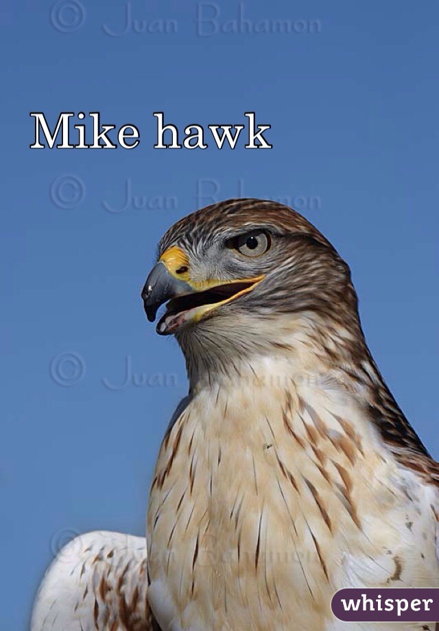 Mike hawk
