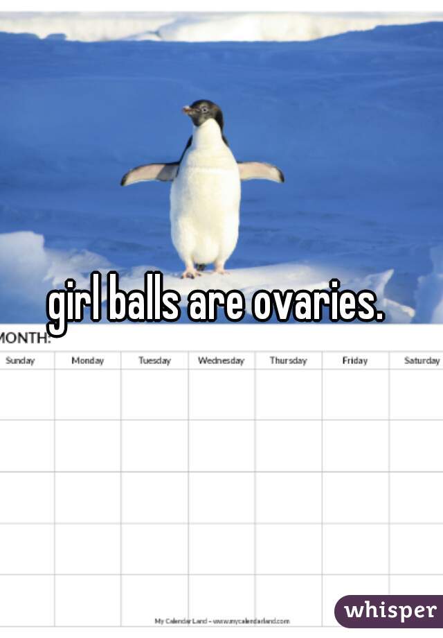 girl balls are ovaries. 