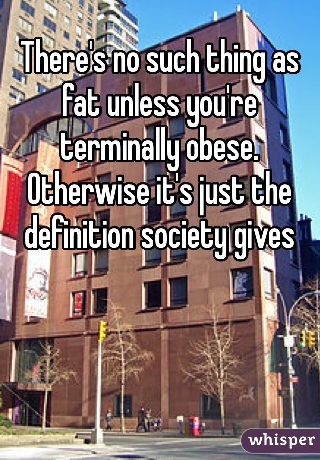 There's no such thing as fat unless you're  terminally obese. Otherwise it's just the definition society gives