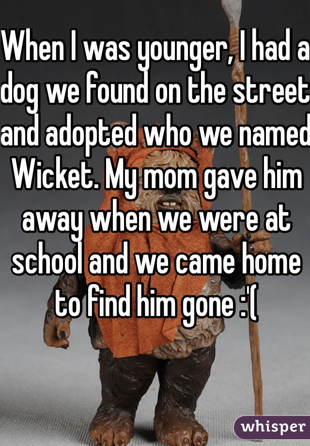 When I was younger, I had a dog we found on the street and adopted who we named Wicket. My mom gave him away when we were at school and we came home to find him gone :'(