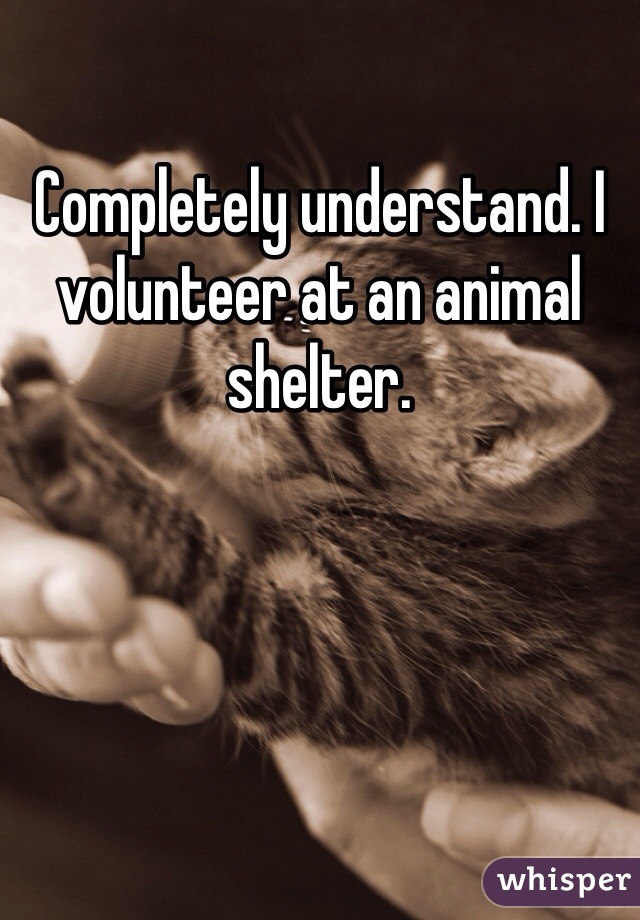 Completely understand. I volunteer at an animal shelter.