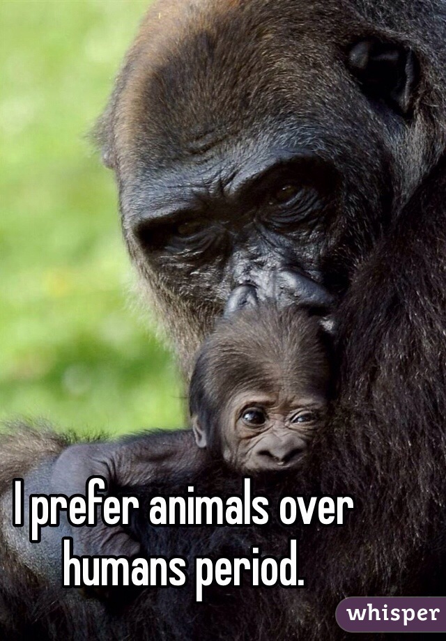 I prefer animals over humans period.