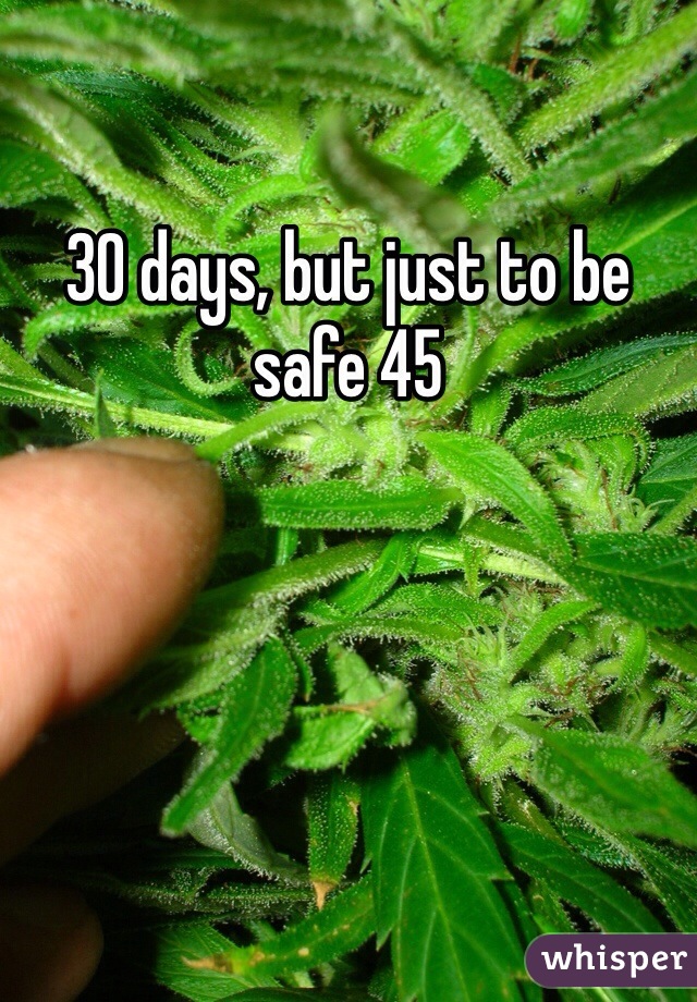 30 days, but just to be safe 45 