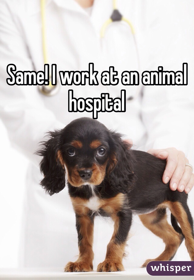 Same! I work at an animal hospital