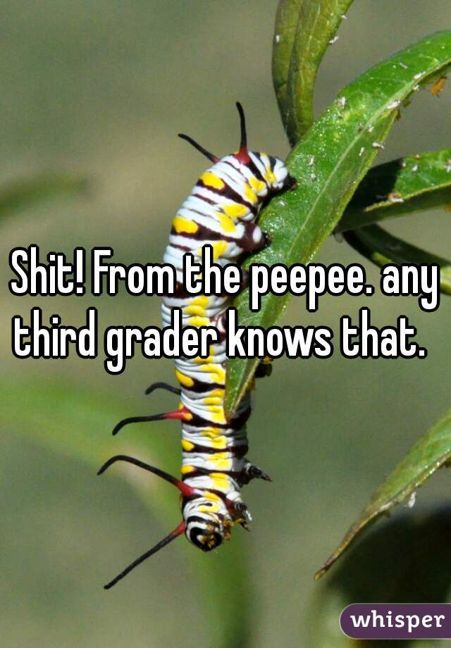 Shit! From the peepee. any third grader knows that.  