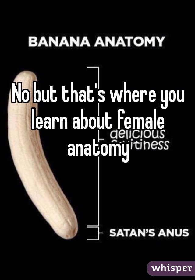 No but that's where you learn about female anatomy 