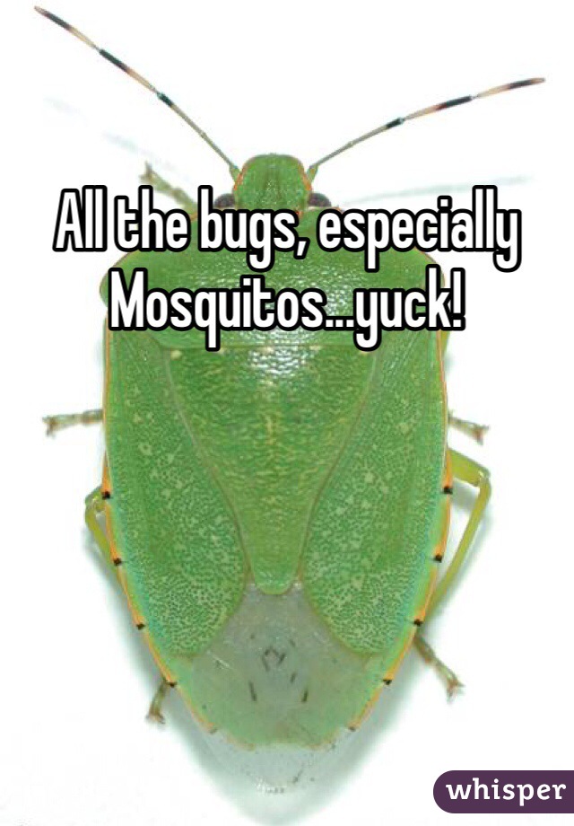 All the bugs, especially Mosquitos...yuck!