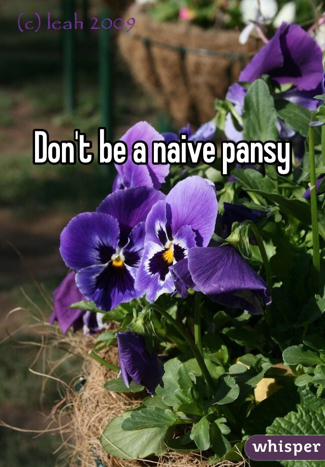 Don't be a naive pansy