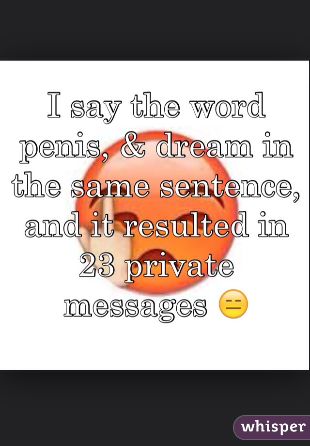 I say the word penis, & dream in the same sentence, and it resulted in 23 private messages 😑