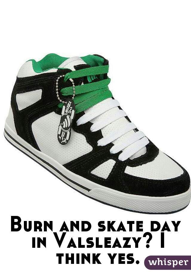 Burn and skate day in Valsleazy? I think yes.