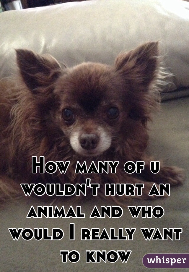 How many of u wouldn't hurt an animal and who would I really want to know