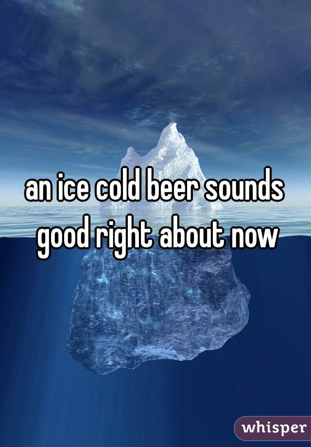 an ice cold beer sounds good right about now