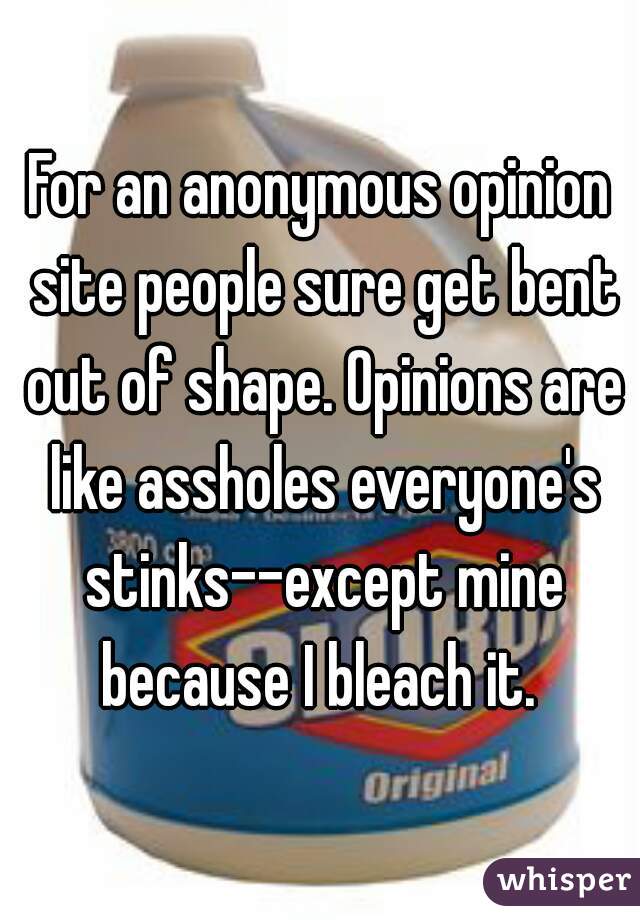 For an anonymous opinion site people sure get bent out of shape. Opinions are like assholes everyone's stinks--except mine because I bleach it. 