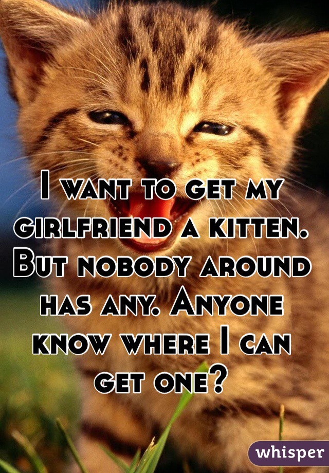 I want to get my girlfriend a kitten. But nobody around has any. Anyone know where I can get one?