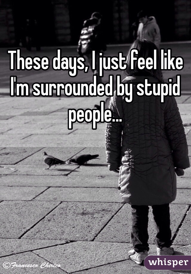 These days, I just feel like I'm surrounded by stupid people...