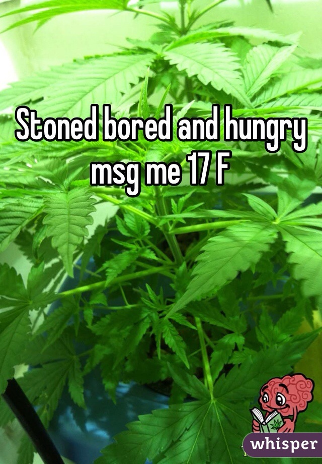 Stoned bored and hungry msg me 17 F