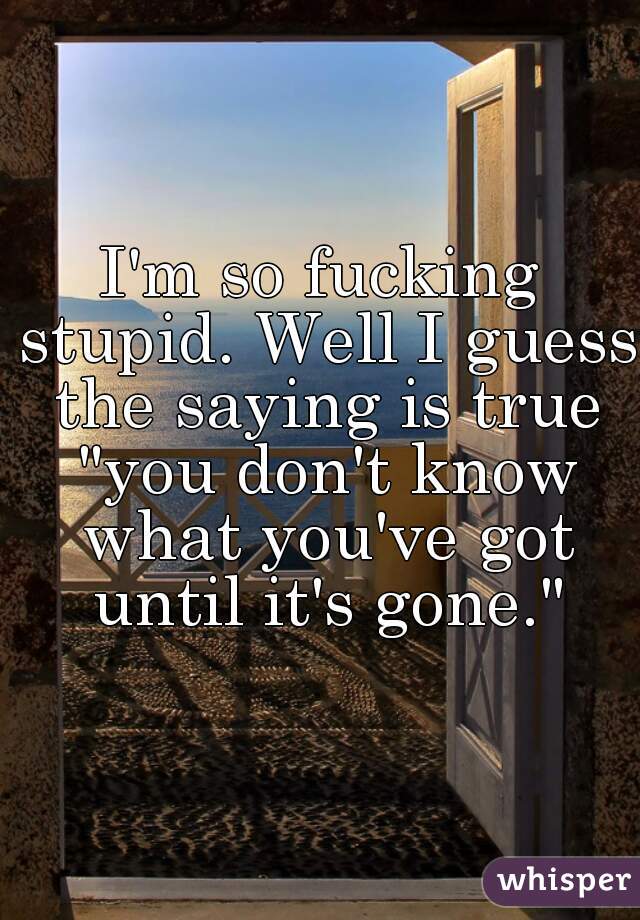 I'm so fucking stupid. Well I guess the saying is true "you don't know what you've got until it's gone."