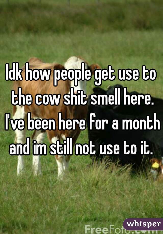 Idk how people get use to the cow shit smell here. I've been here for a month and im still not use to it. 